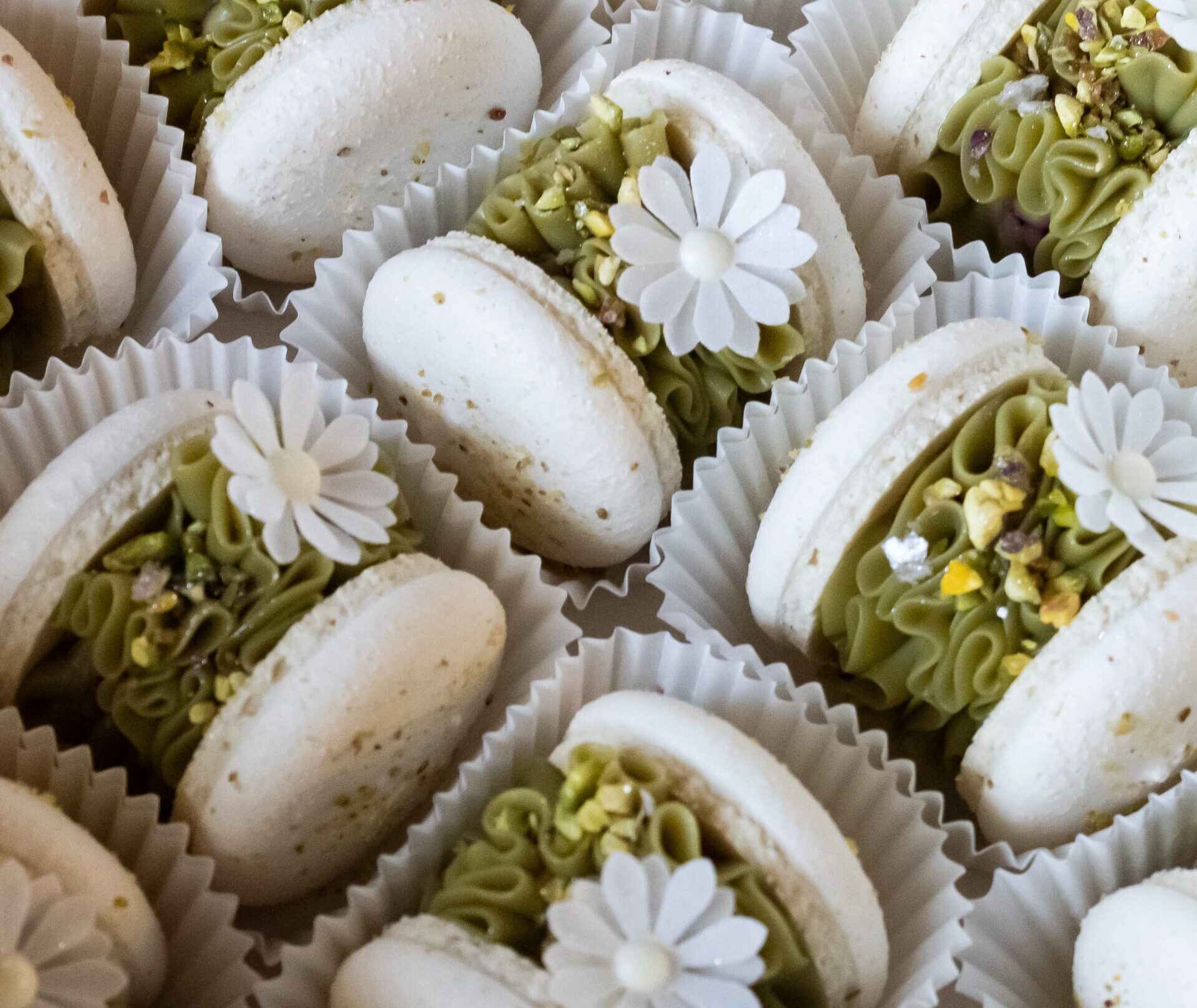 Ediciones especiales de macarons