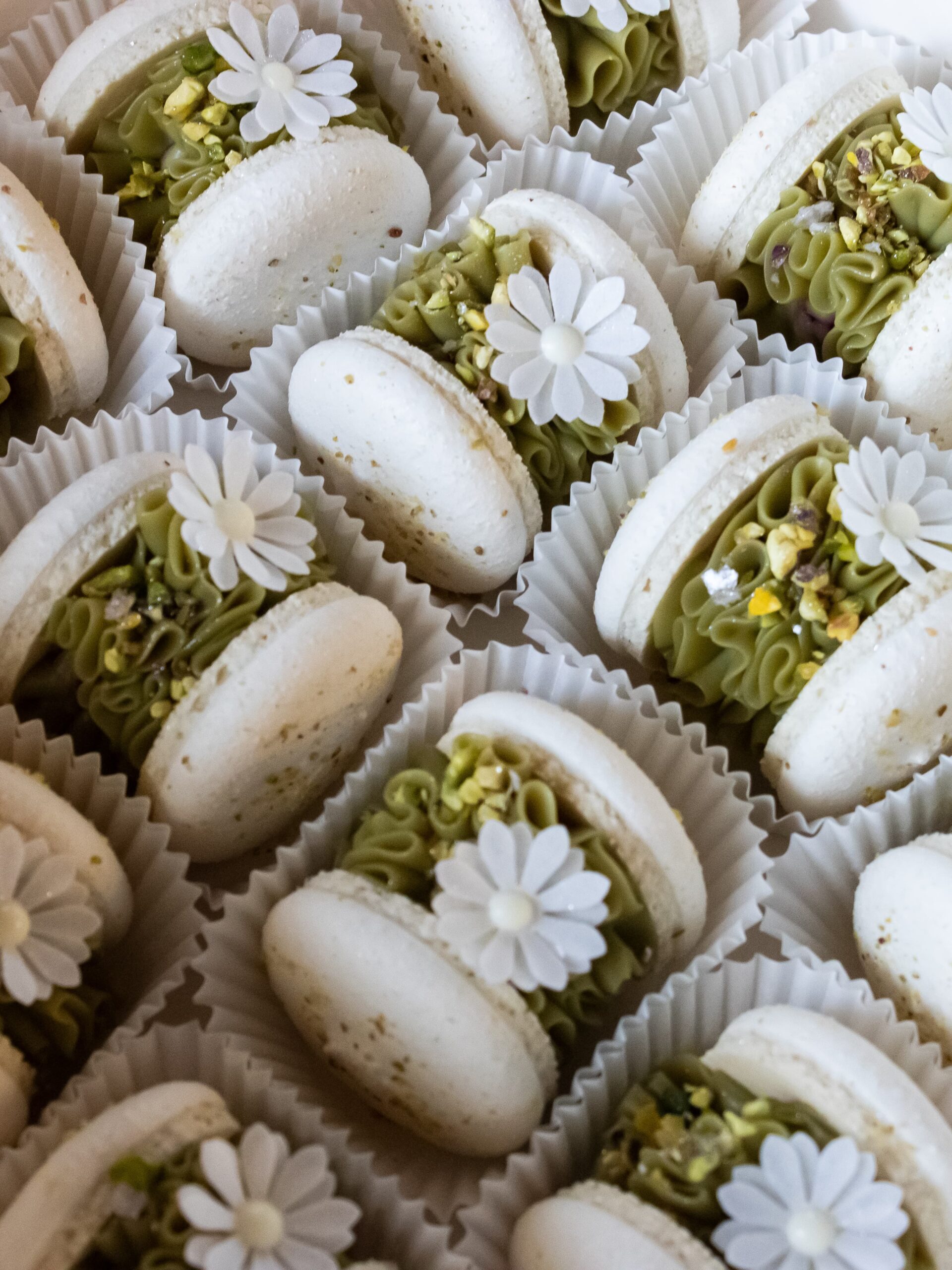 Ediciones especiales de macarons